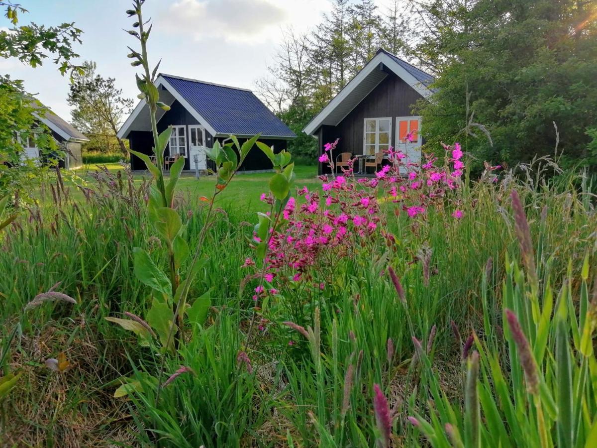 Lindvig - Ferie I Naturen Nymindegab Bagian luar foto